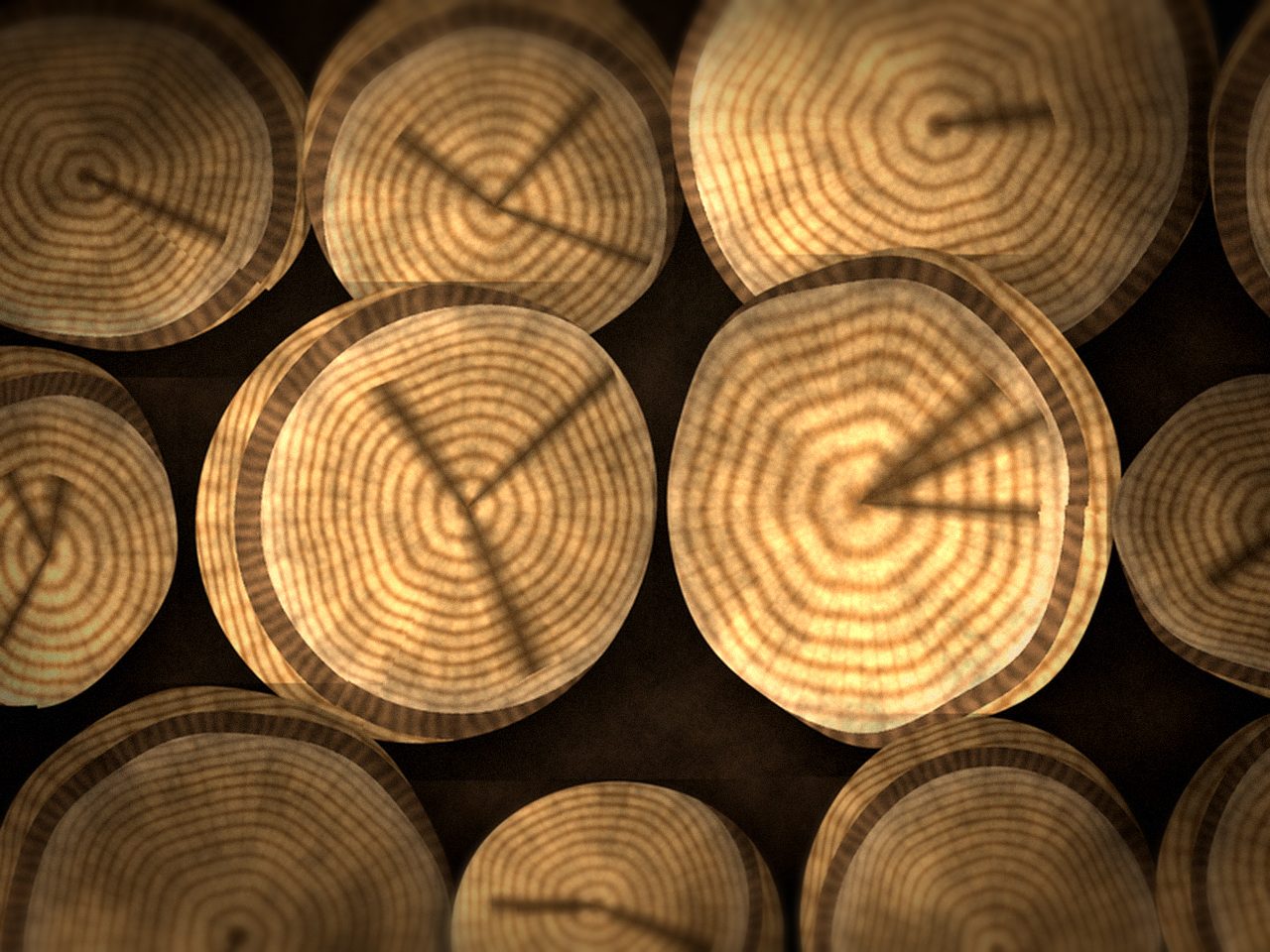 Микс трёх пород: берёза, дуб, ольха — ракурс 3